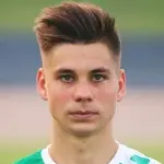 G. Sikošek
