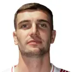 N. Mulahusejnović