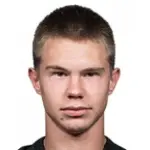 I. Vorotnikov