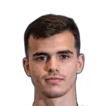 L. Mijović