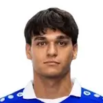 J. Mitrović