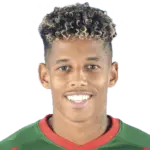 André Vidigal