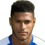 Z. Jules
