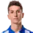 T. Ibrahimagic