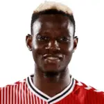 M. Djenepo