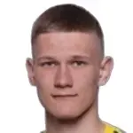 P. Pashevich