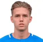 L. Holtkamp