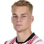 P. Lienhart