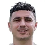 Karim Hafez