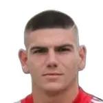 M. Ilievski