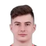 D. Sokol