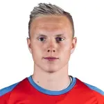 D. Hafsteinsson