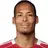 V. van Dijk