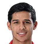 M. Ghaedi