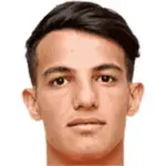A. Hosseinzadeh