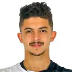 M. Belloumi