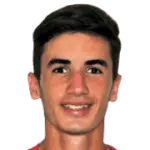 F. Doğan