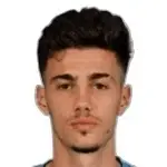 N. Mituljikić