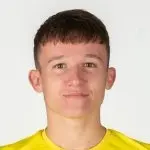 M. Ilenič