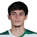 T. Ibishev