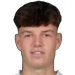 N. Bajlicz