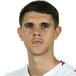 K. Nedeljković