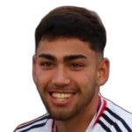 N. Suárez