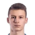 A. Boronilstsikov