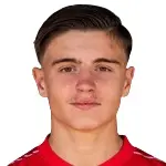 M. Gevorgyan