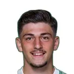 F. Demir