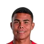 M. Castillo