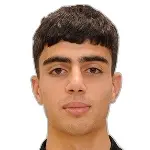 P. Manukyan