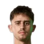 Tomer Lannes Arbel