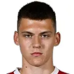 S. MitroviÄ