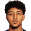 V. Souza