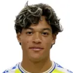 Francis Castillo-Orellana