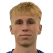 R. Nigula