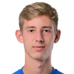 D. Rubanov