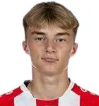 K. Potulski