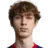 M. Stepanov