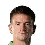 M. Topić