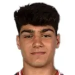 V. Harutyunyan