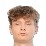 D. Nikitin