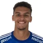 Gui Meira