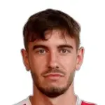 N. Mikulic