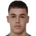 O. Vladimirov