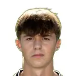 D. Zamagni