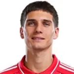 N. Domínguez
