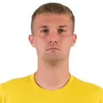 J. Minárik