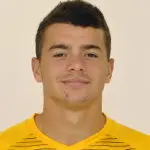 M. Kogut